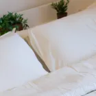 睡眠時無呼吸症候群(SAS)